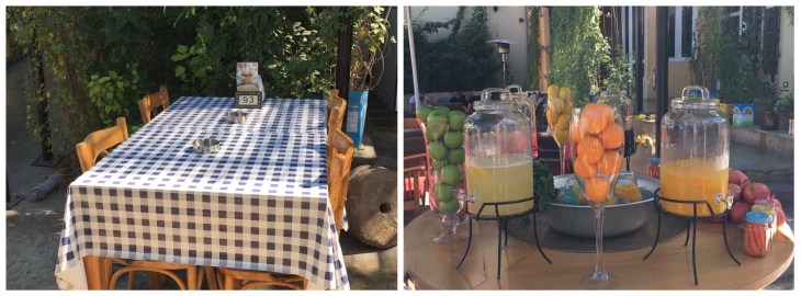 Dining in the garden 