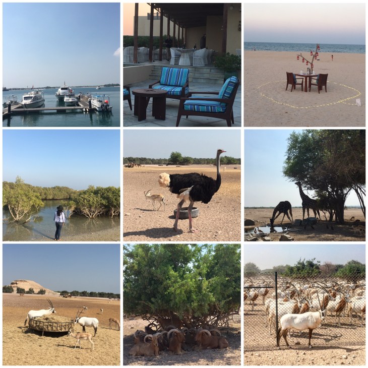 Nature walk at Sir Bani Yas Island 