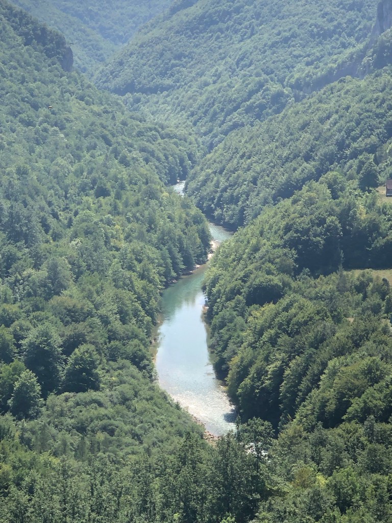Tara river Montenegro 